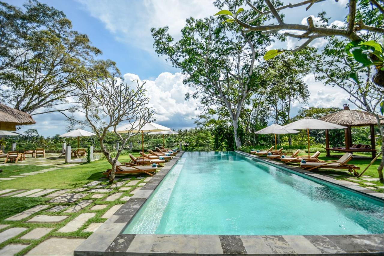 Hidden Gem Apartemen *