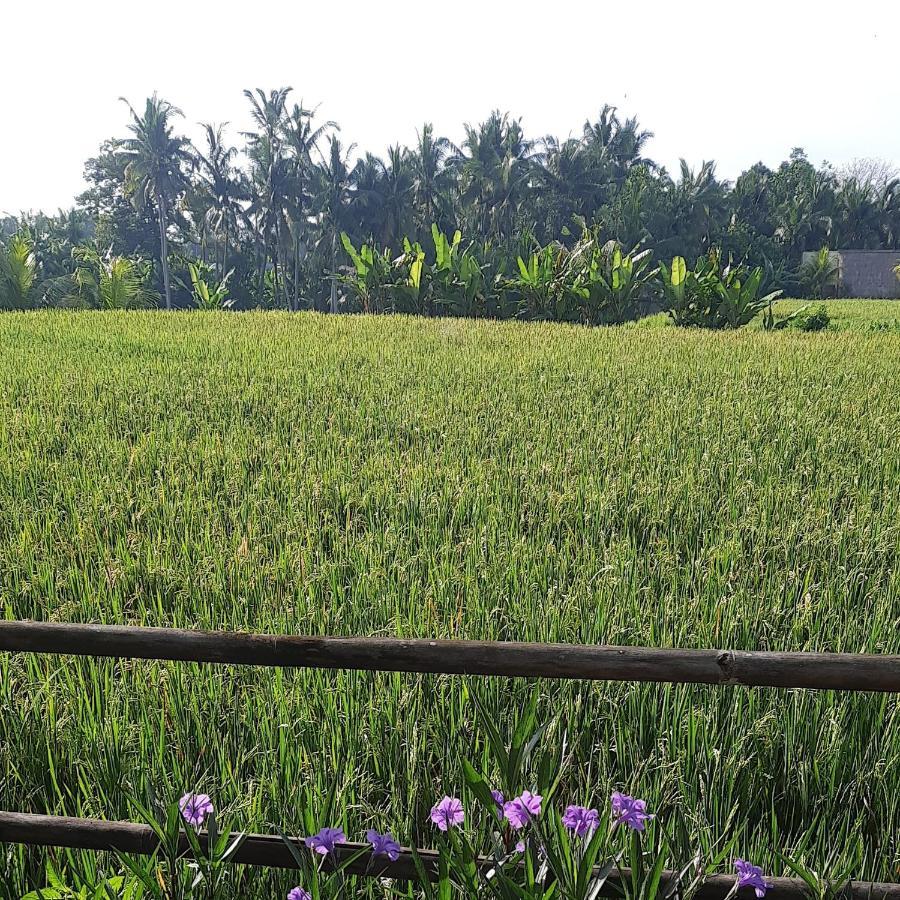 Pb Gandalangu Garden House Bali Hotel Ubud (Bali)