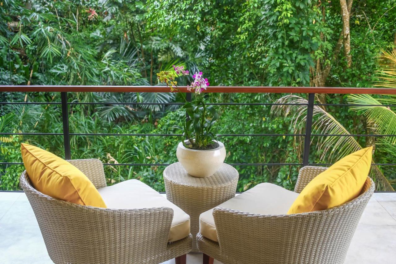 Kingfisher 2 * Ubud