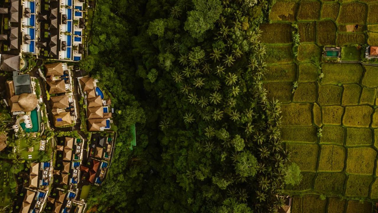 Viceroy Bali - Chse Certified Resor Ubud (Bali)