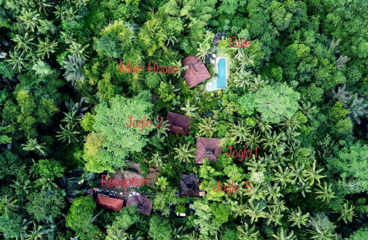 Villa Mahadevi Jungle Retreat Joglo 2