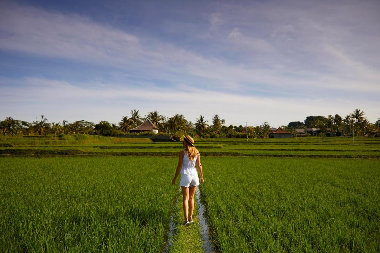 Element Bali Ubud (Bali)