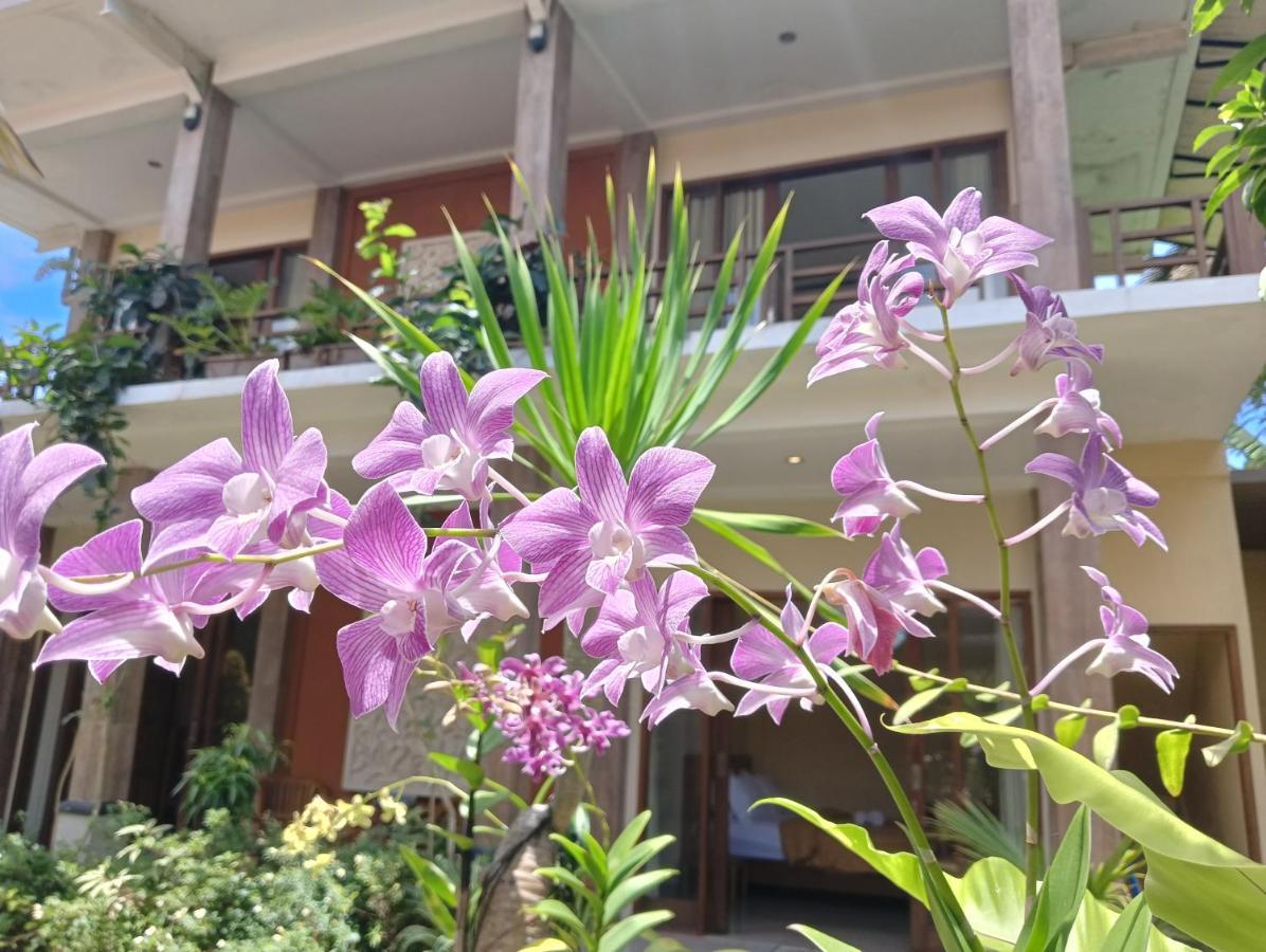 Gasthuis Kama Ayu Ubud