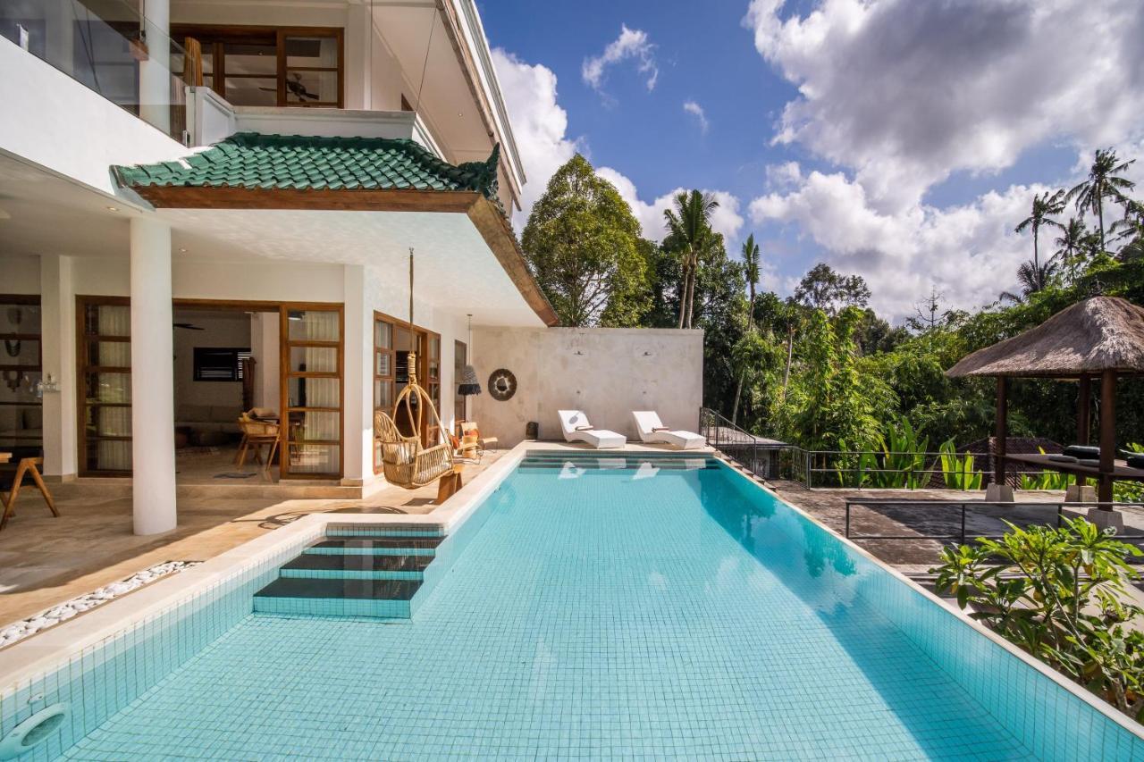 Luxury In Center W/ Natural Pool La Bohemia