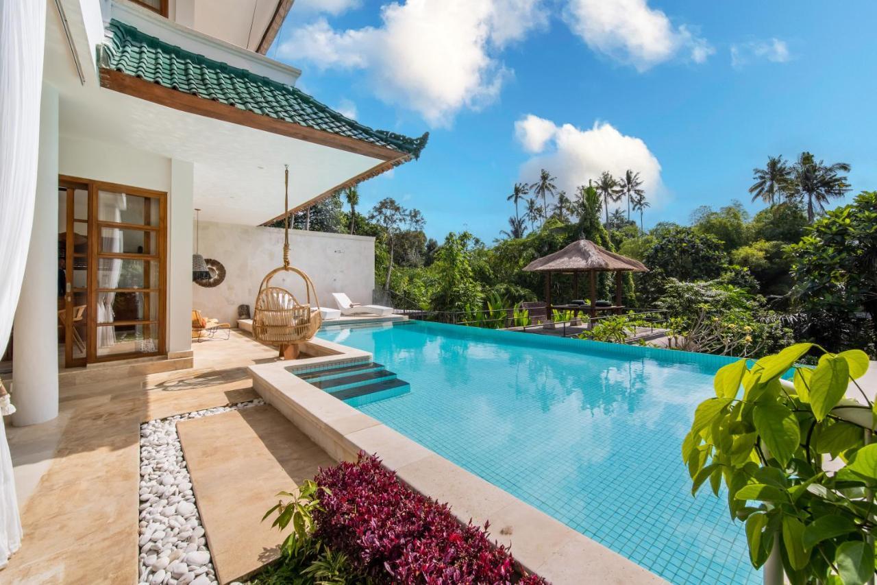 Villa Luxury In Center W/ Natural Pool La Bohemia