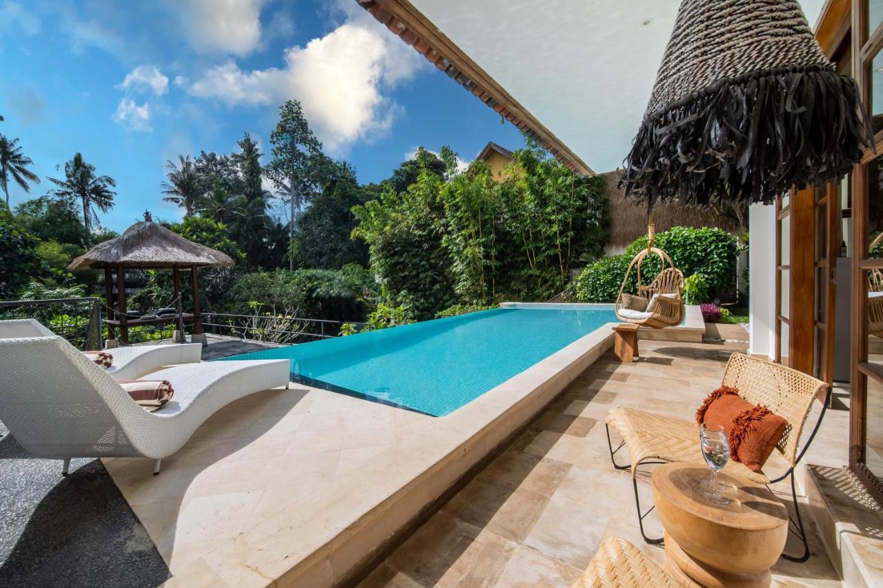 Luxury In Center W/ Natural Pool La Bohemia *