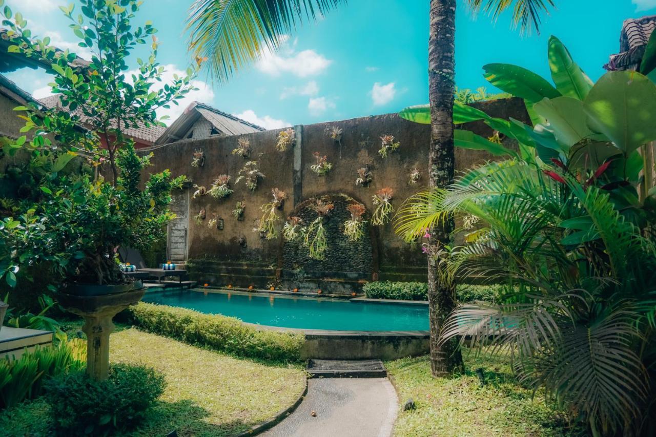 The Alus And Taman liburan 3*