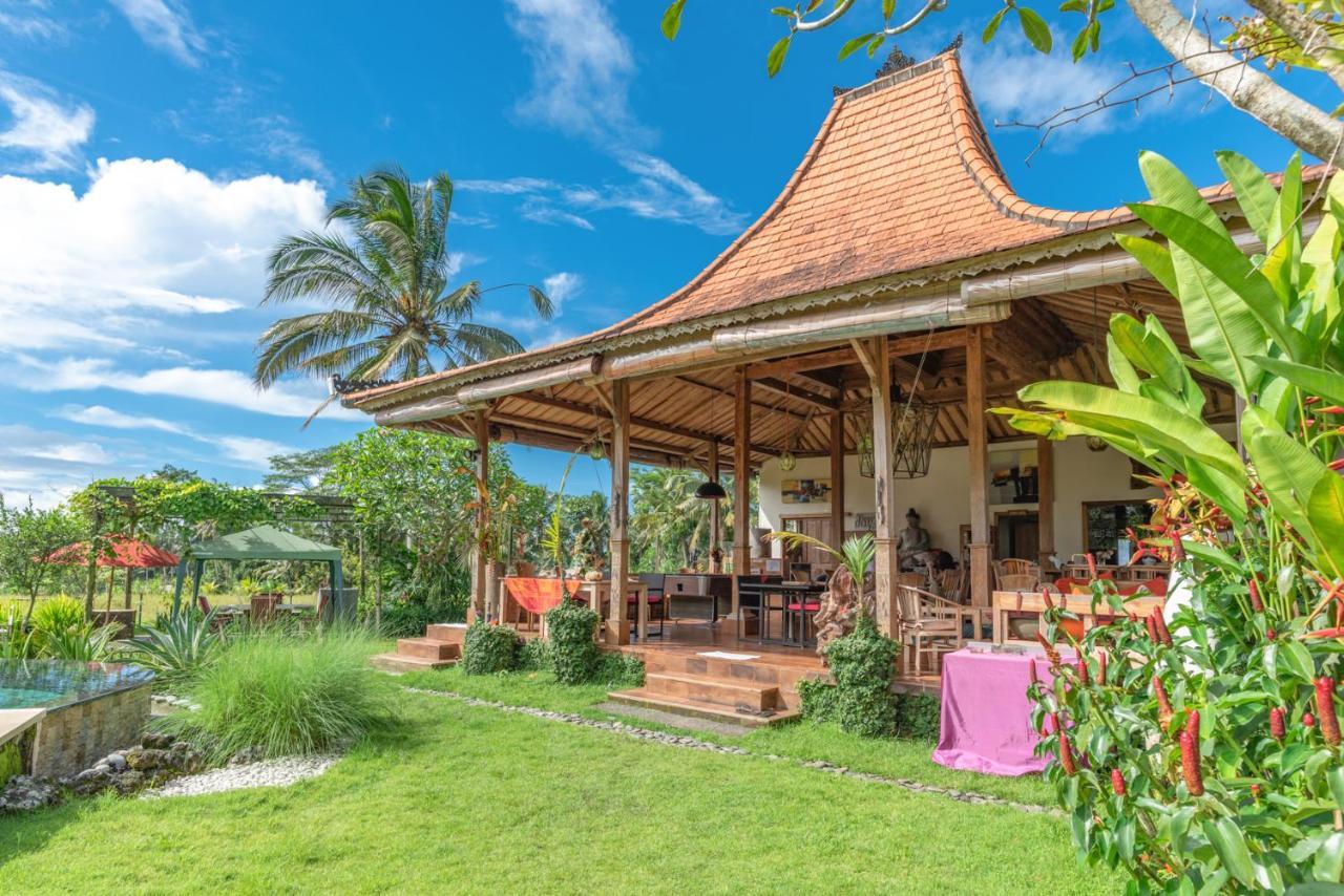 Bali Sawah Indah Ubud (Bali)