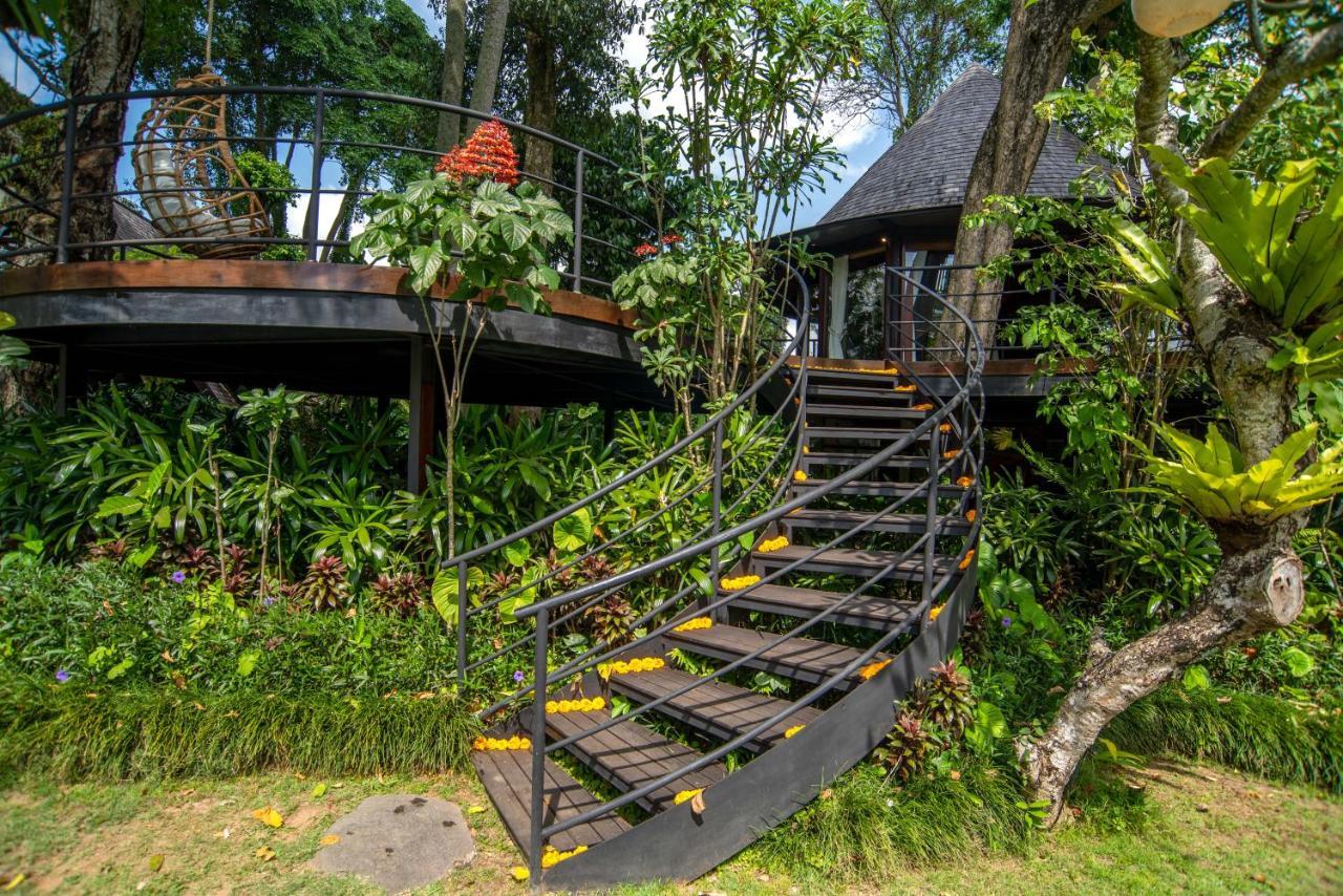 Tree House