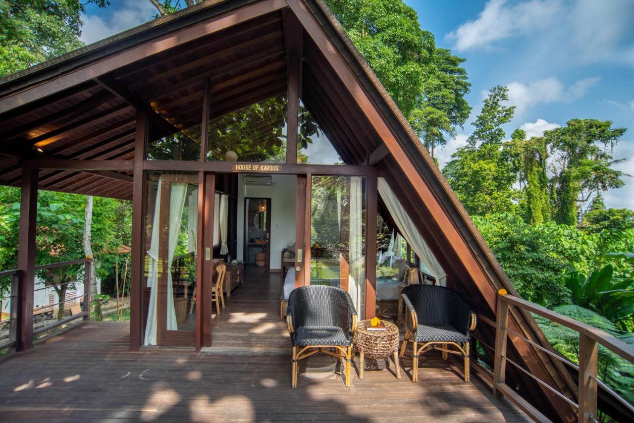 Tree House *