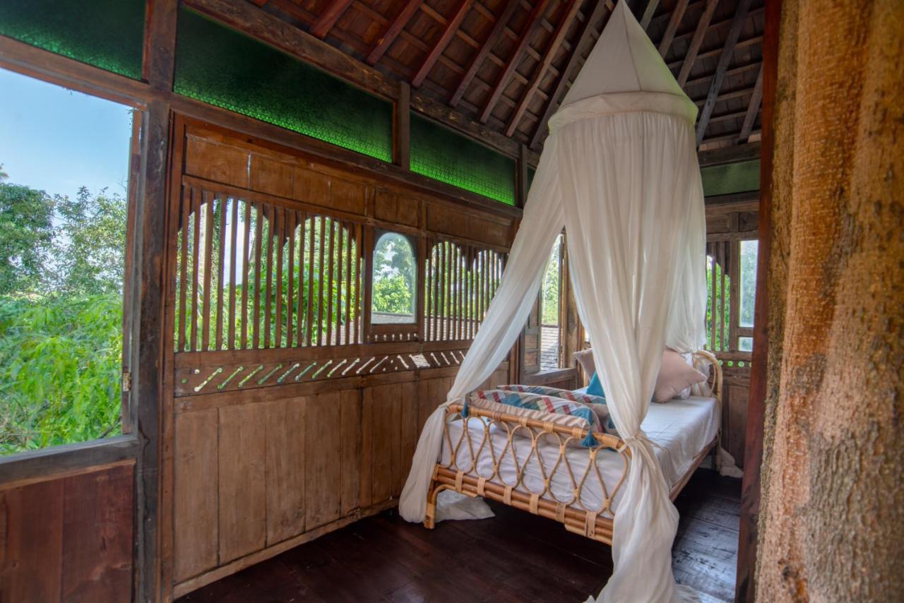 Villa Tree House *