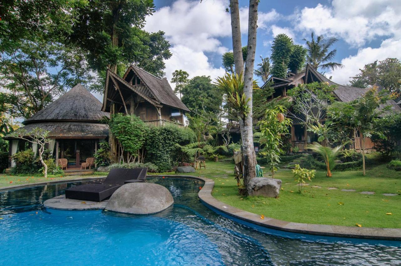 Villa Tree House