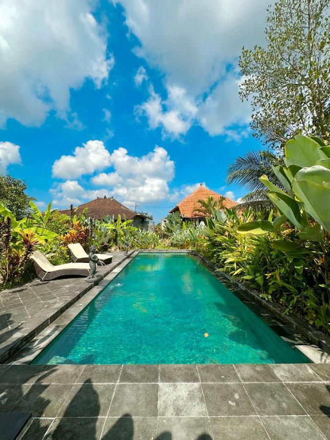 Paddy House Ubud