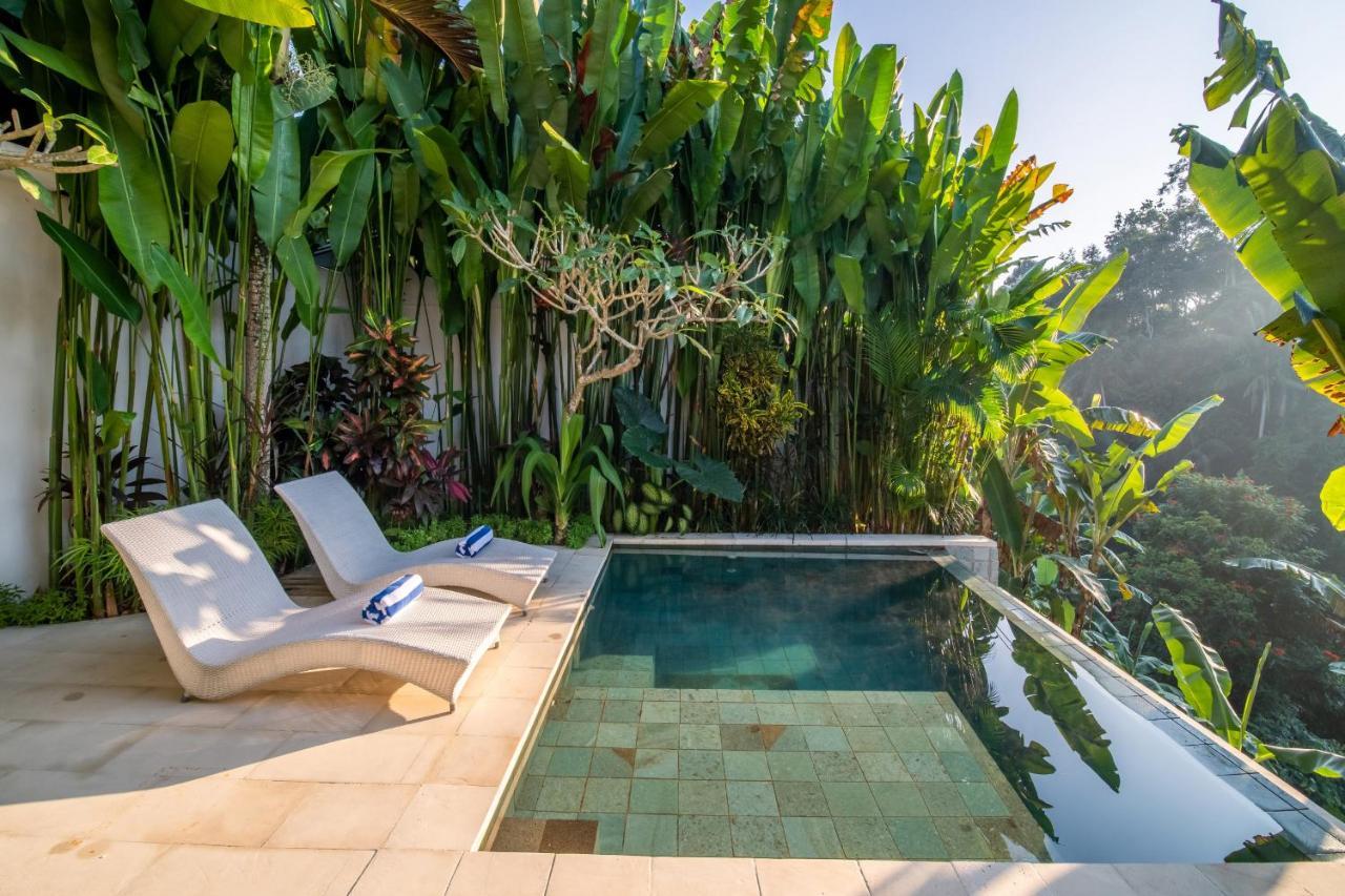 Charles * Ubud (Bali)