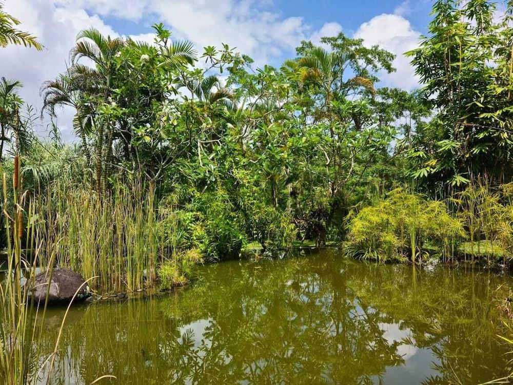 Pandawa Taman liburan Ubud (Bali)