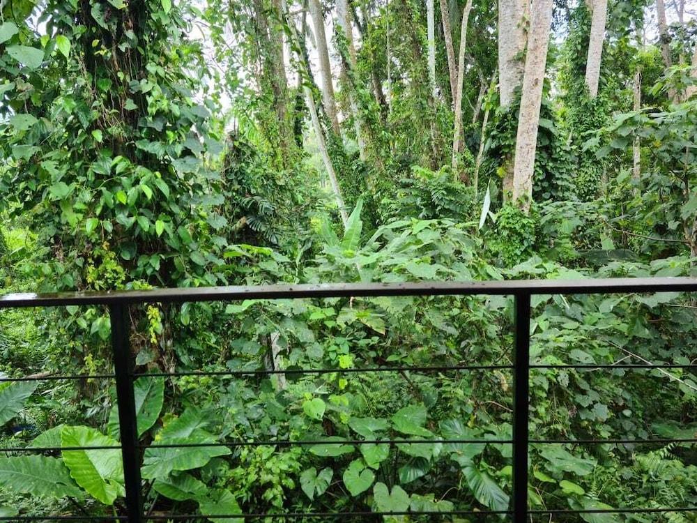 Pandawa 4* Ubud (Bali)
