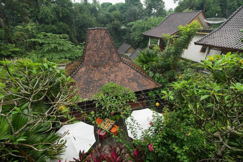 Jungle Haven Guest house 3*