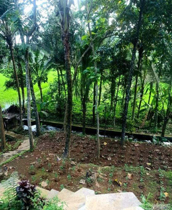 Villa House, Quiet Place Overlooking Rice Fields