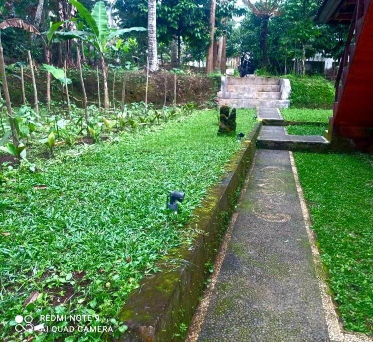 Villa House, Quiet Place Overlooking Rice Fields *