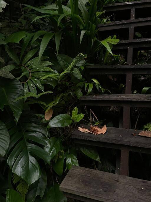 Holiday home Zen River House, Secluded Tranquil Retreat In Nature *
