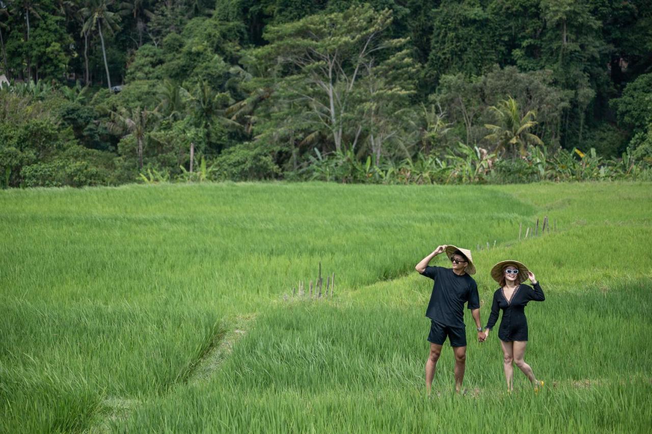 Villa D'alas By Omkara Experience *