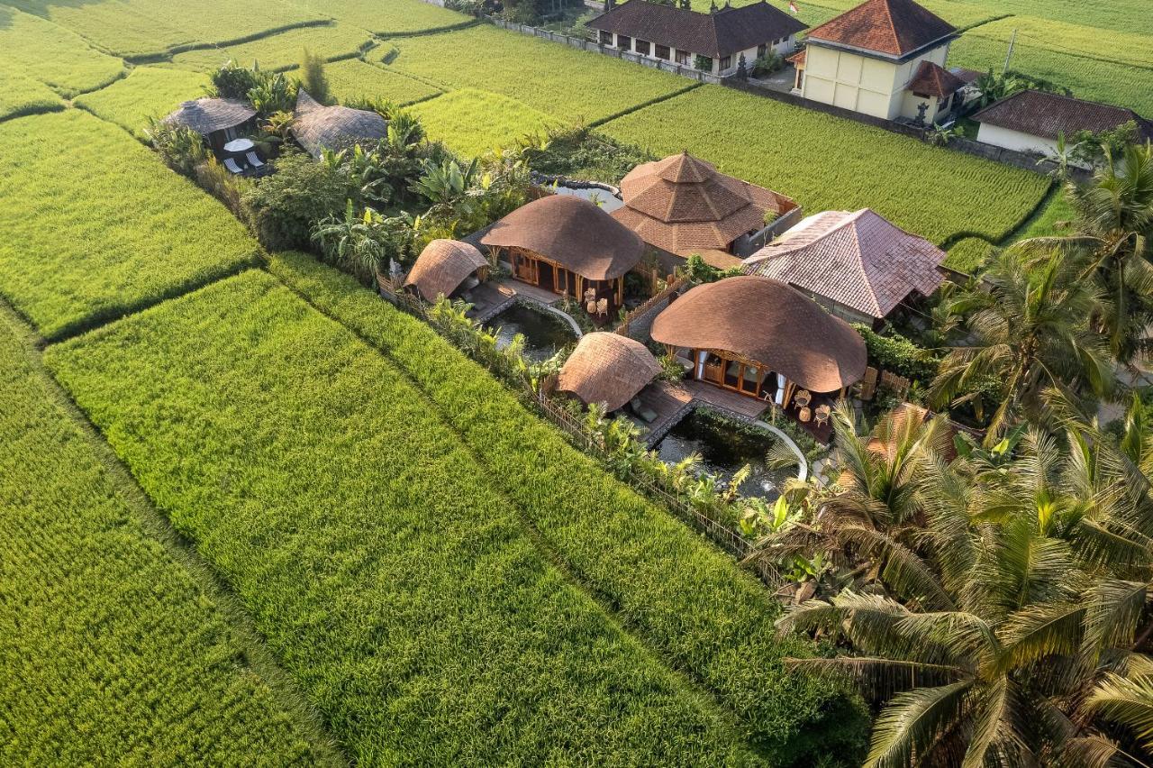 Villa Arapan Eco *