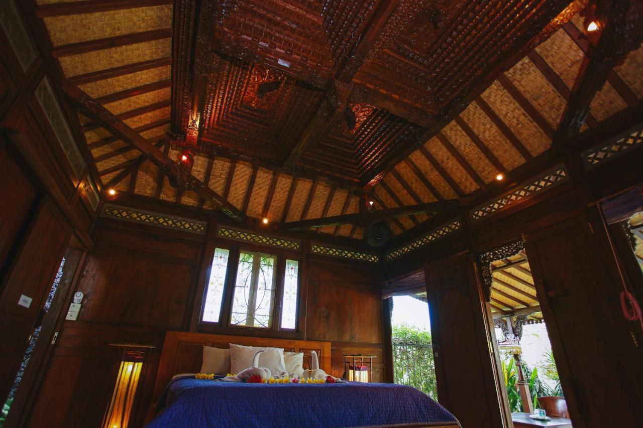Rumah Capung Full