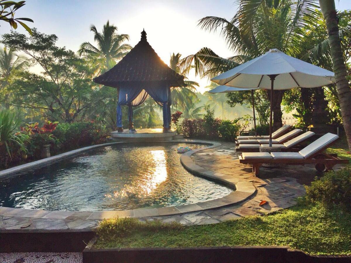 Rumah Capung Full Villa Ubud (Bali)