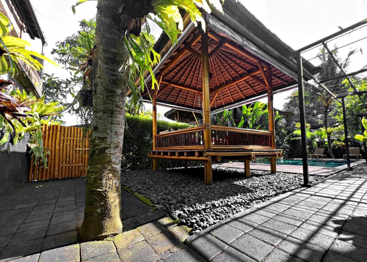 Katil Joyously Raw - Free Upgrade Subject To Availability