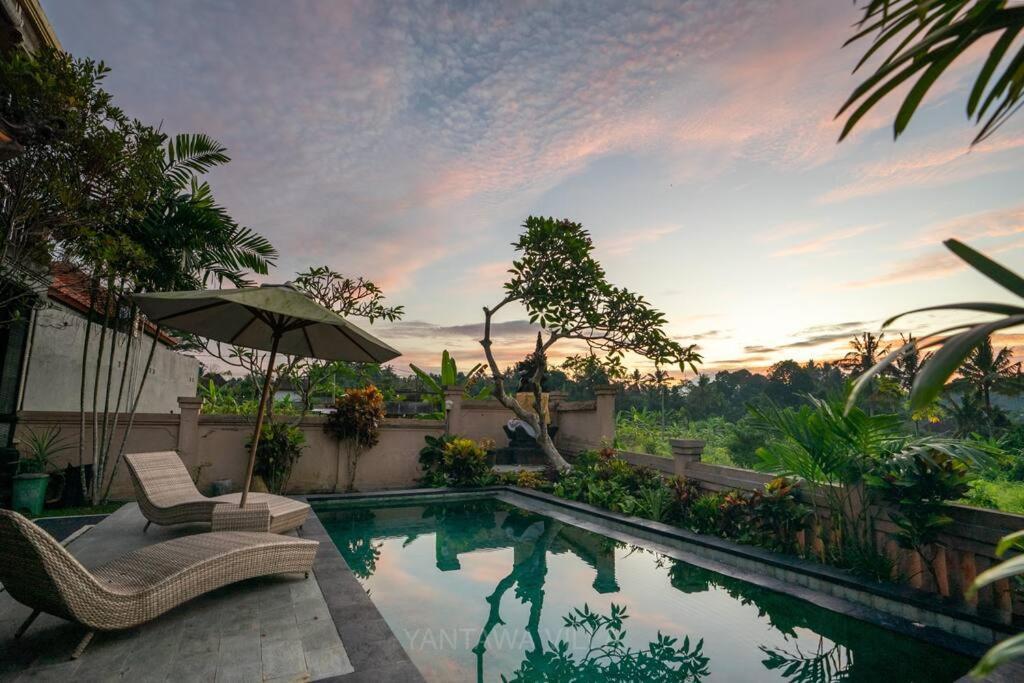Villa Beautiful 3 Bedroom Jungle View