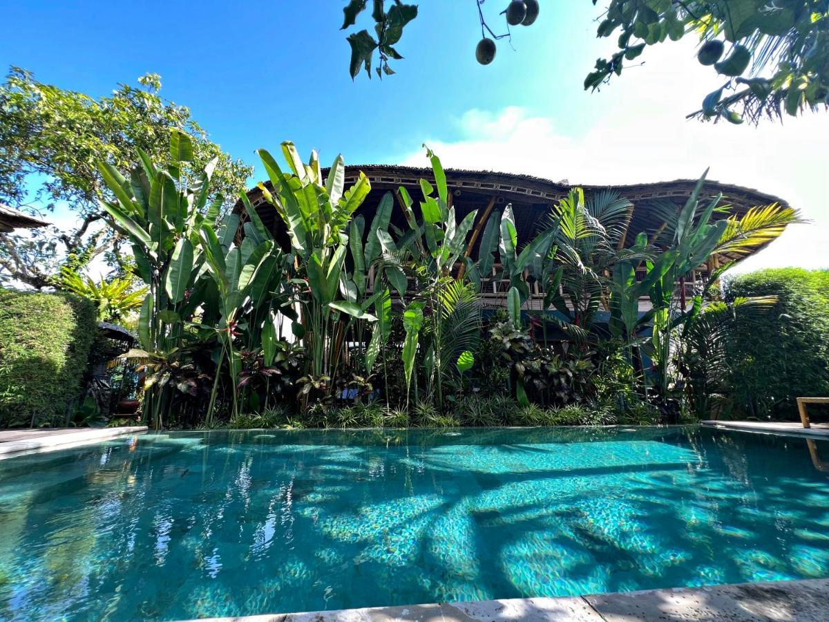 Katil Joyously Raw - Free Upgrade Subject To Availability