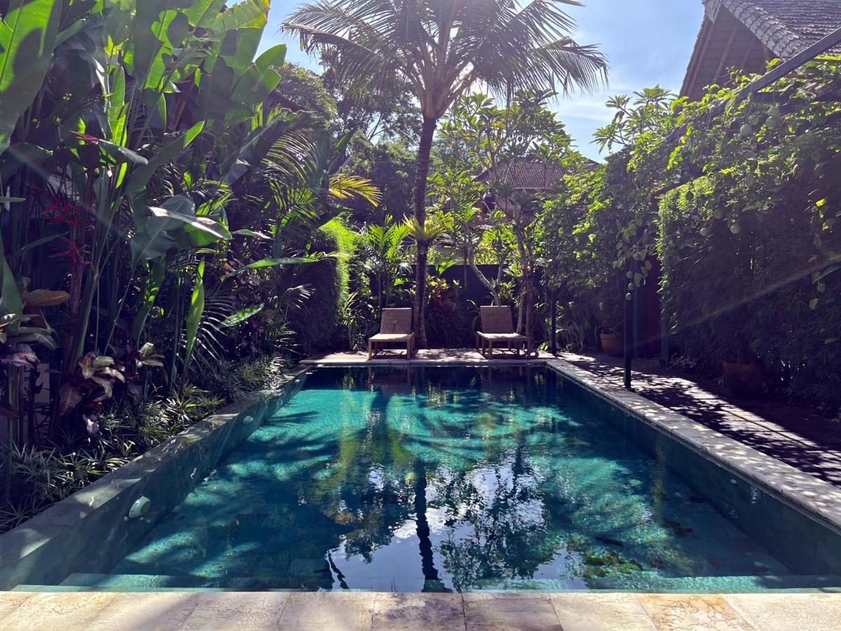Joyously Raw - Free Upgrade Subject To Availability Katil