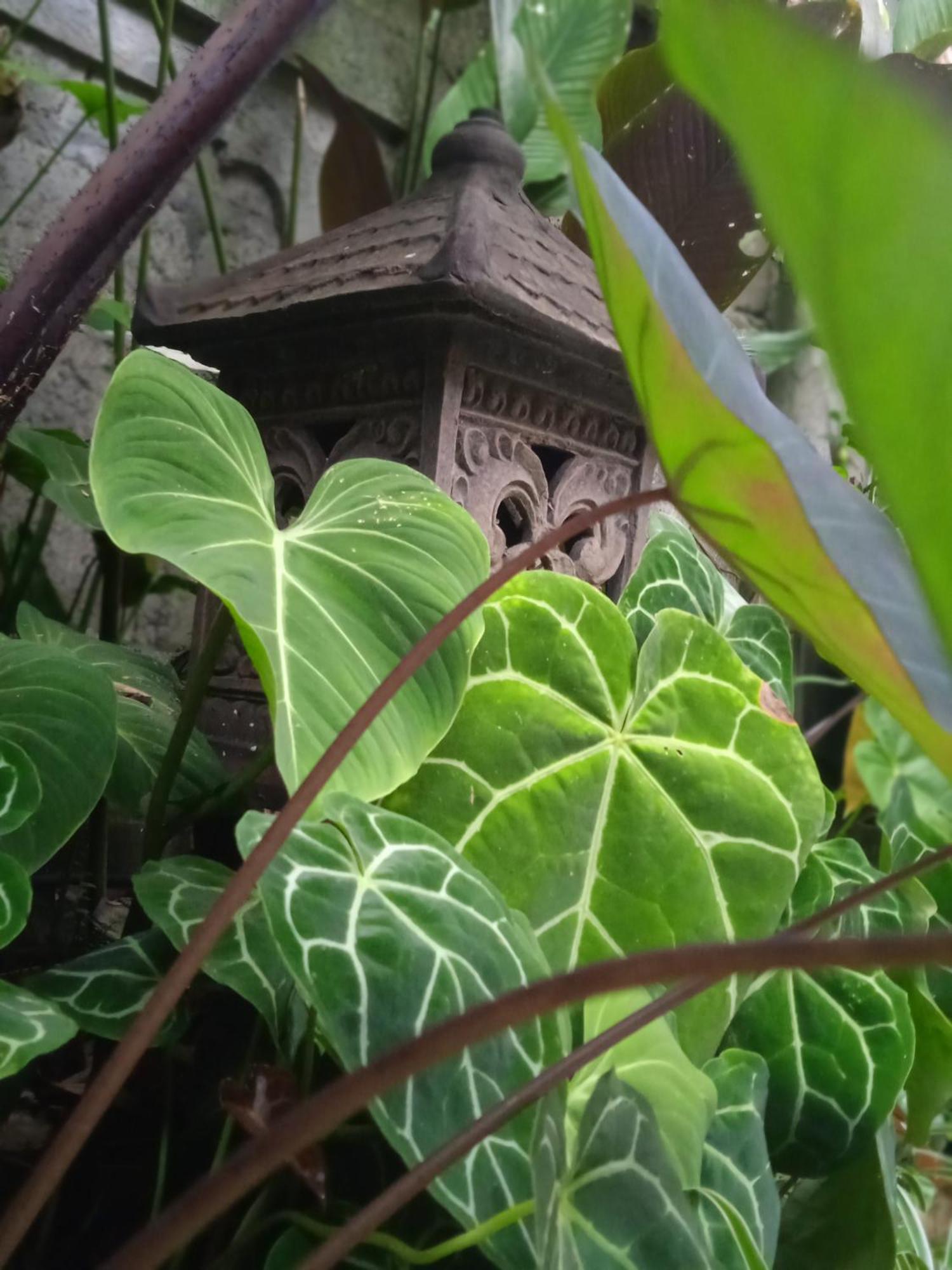 Gasthof Tanah Semujan Ubud