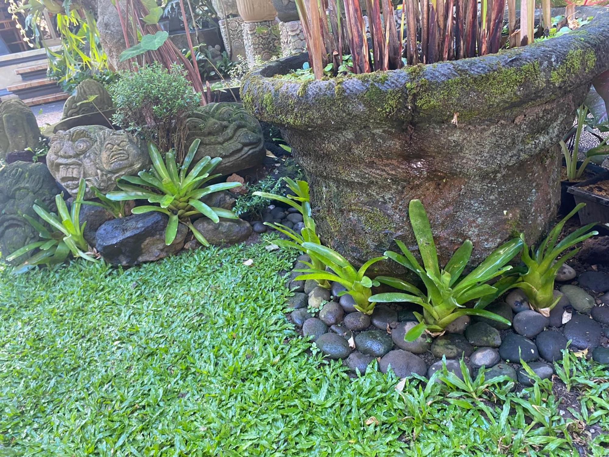 Gus Arditya Homestay