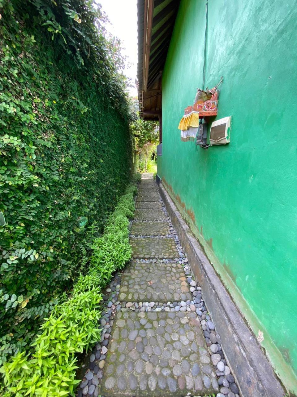 Pomelo Guest house