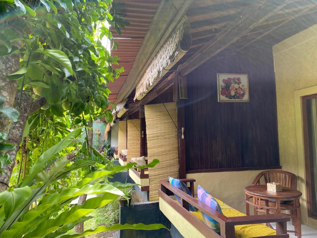 Pomelo Guest house
