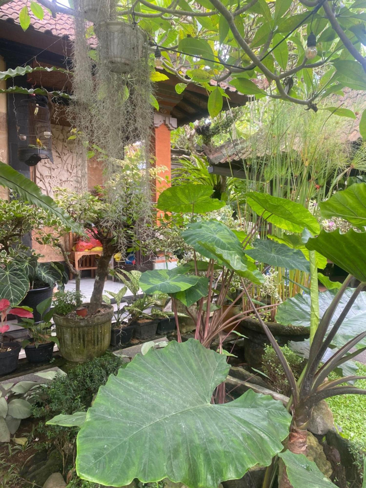 Homestay Gus Arditya *