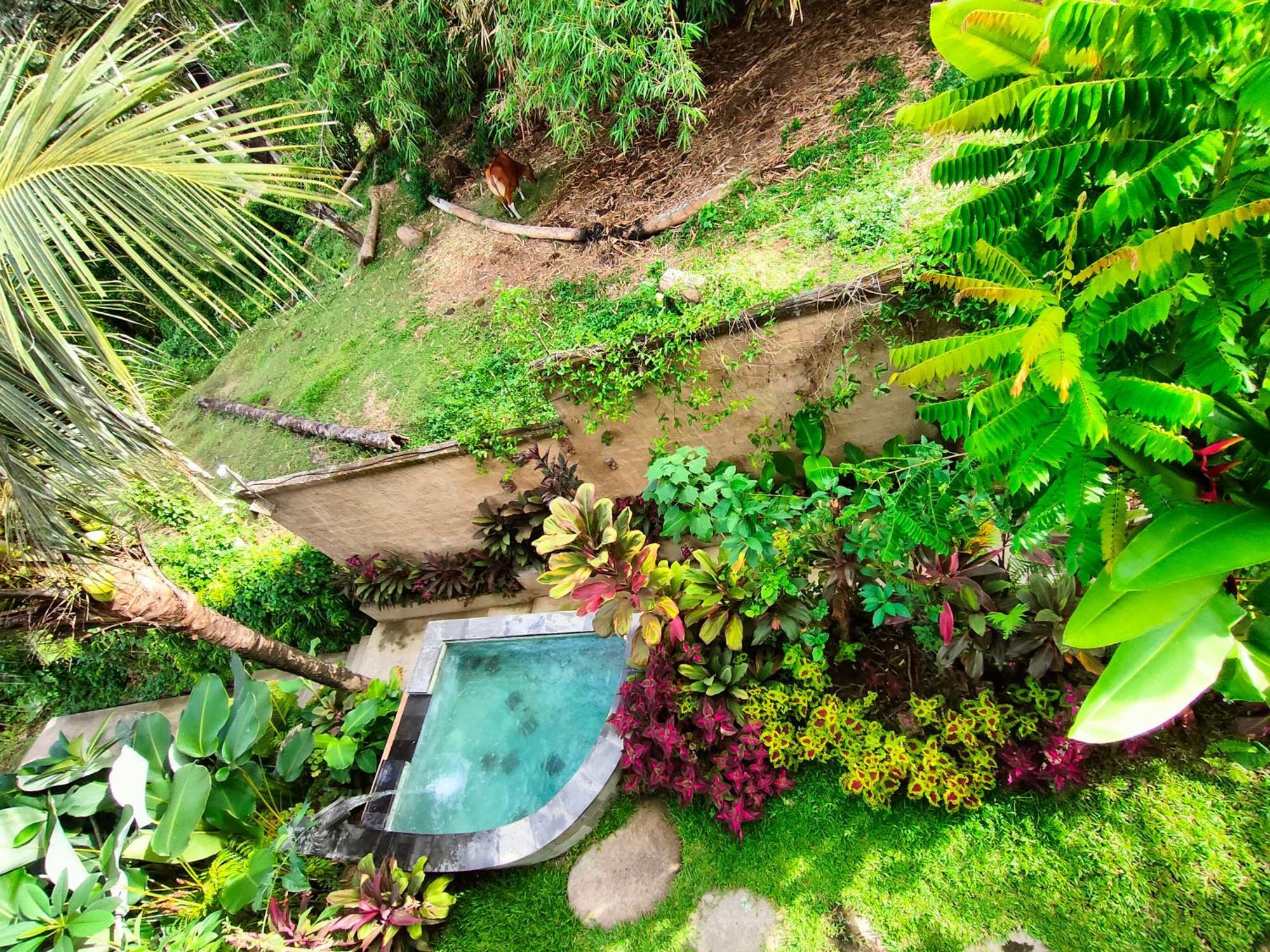 D'nanda Bed & Breakfast