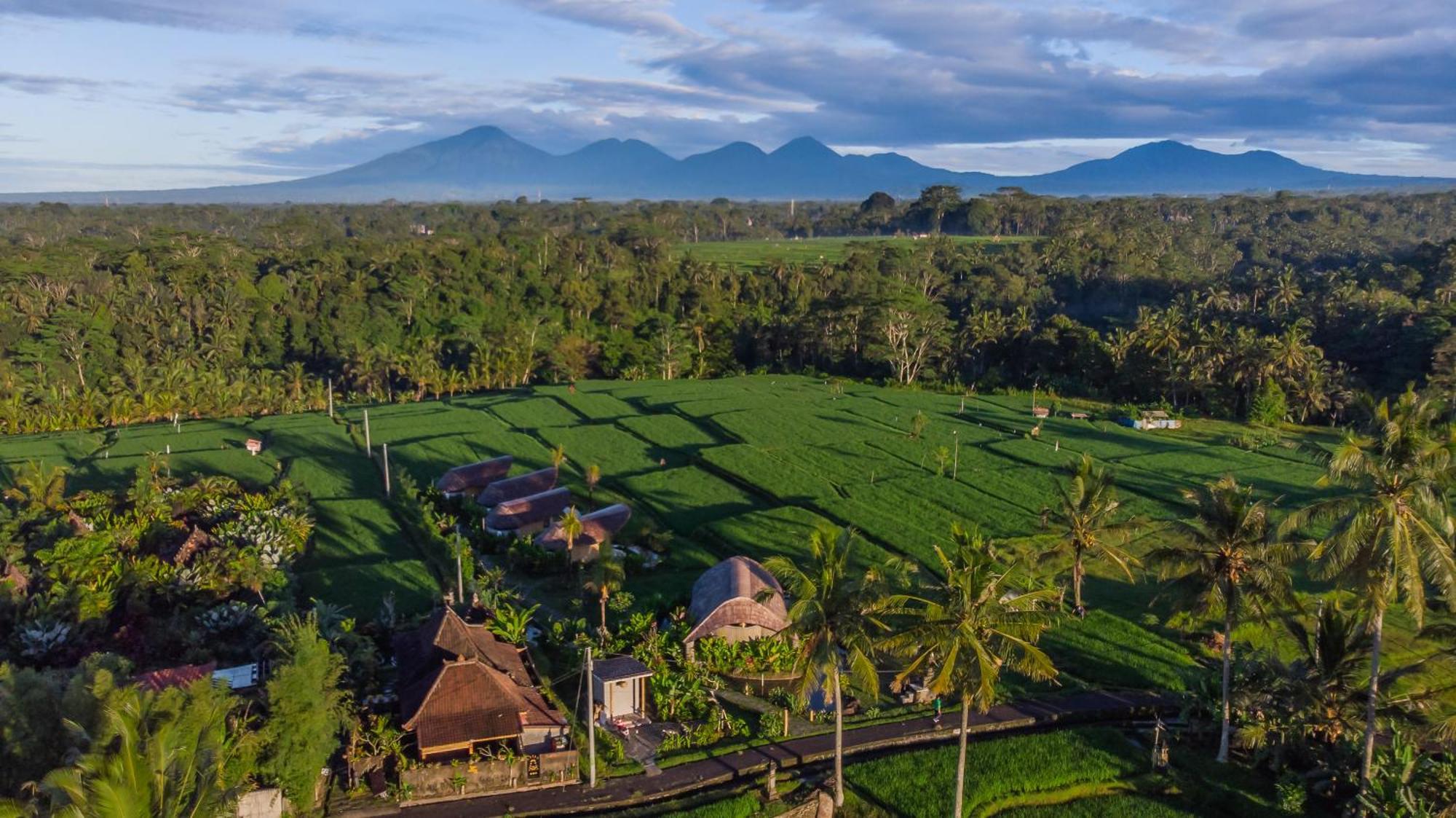 Ipian Cinta By Pramana * Ubud