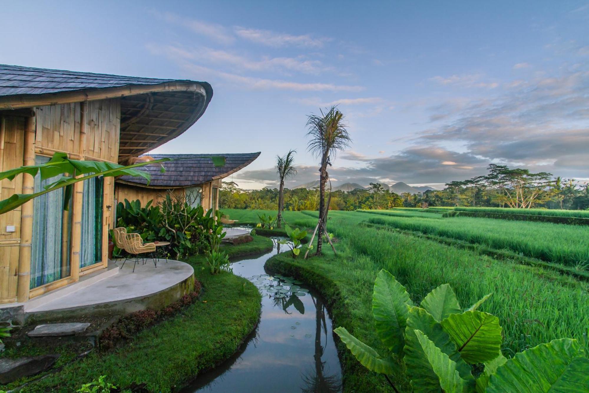 Ipian Cinta By Pramana Ubud