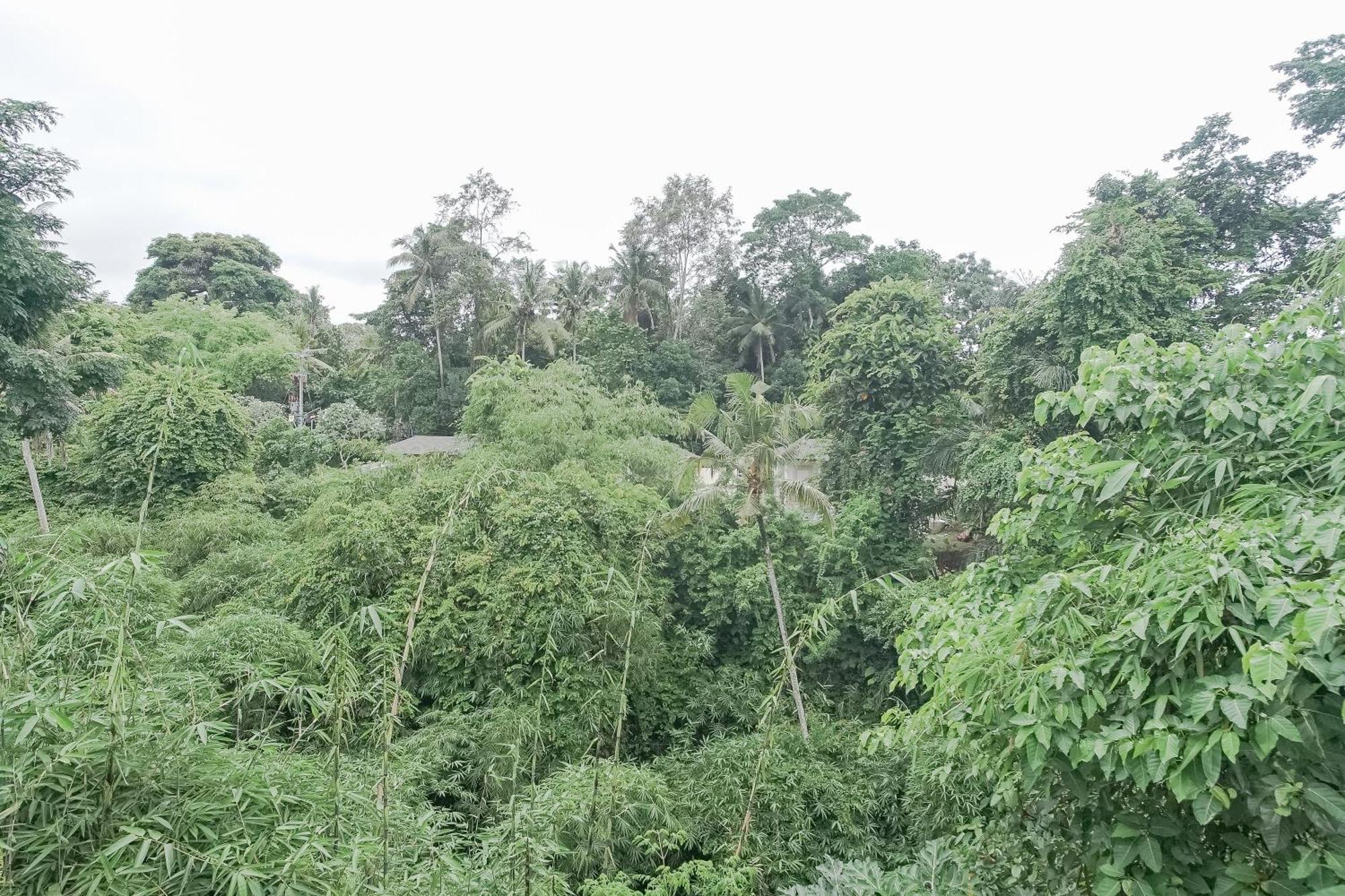 Giri Krisna Casa de hóspedes *