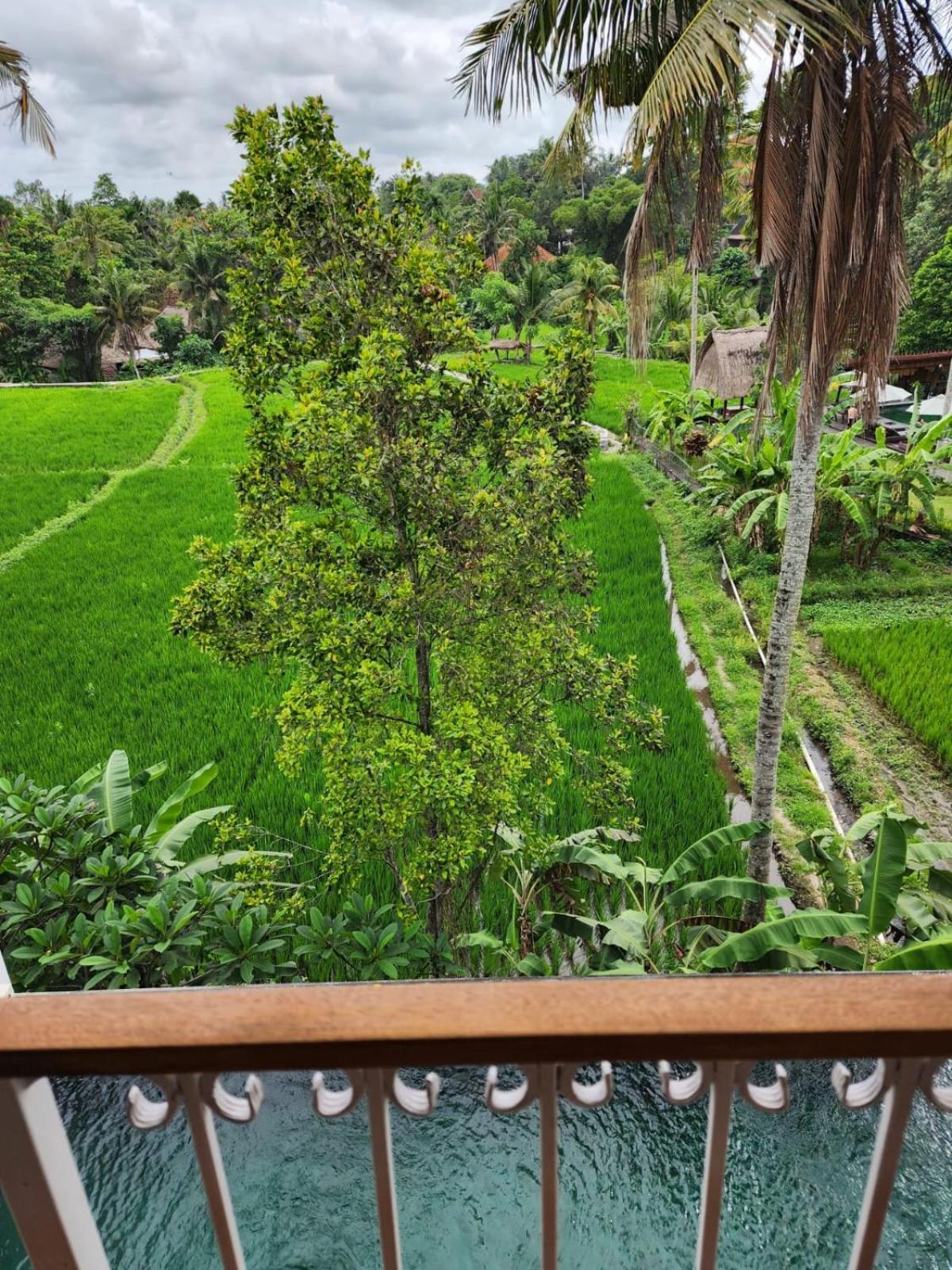 Motama Villa *
