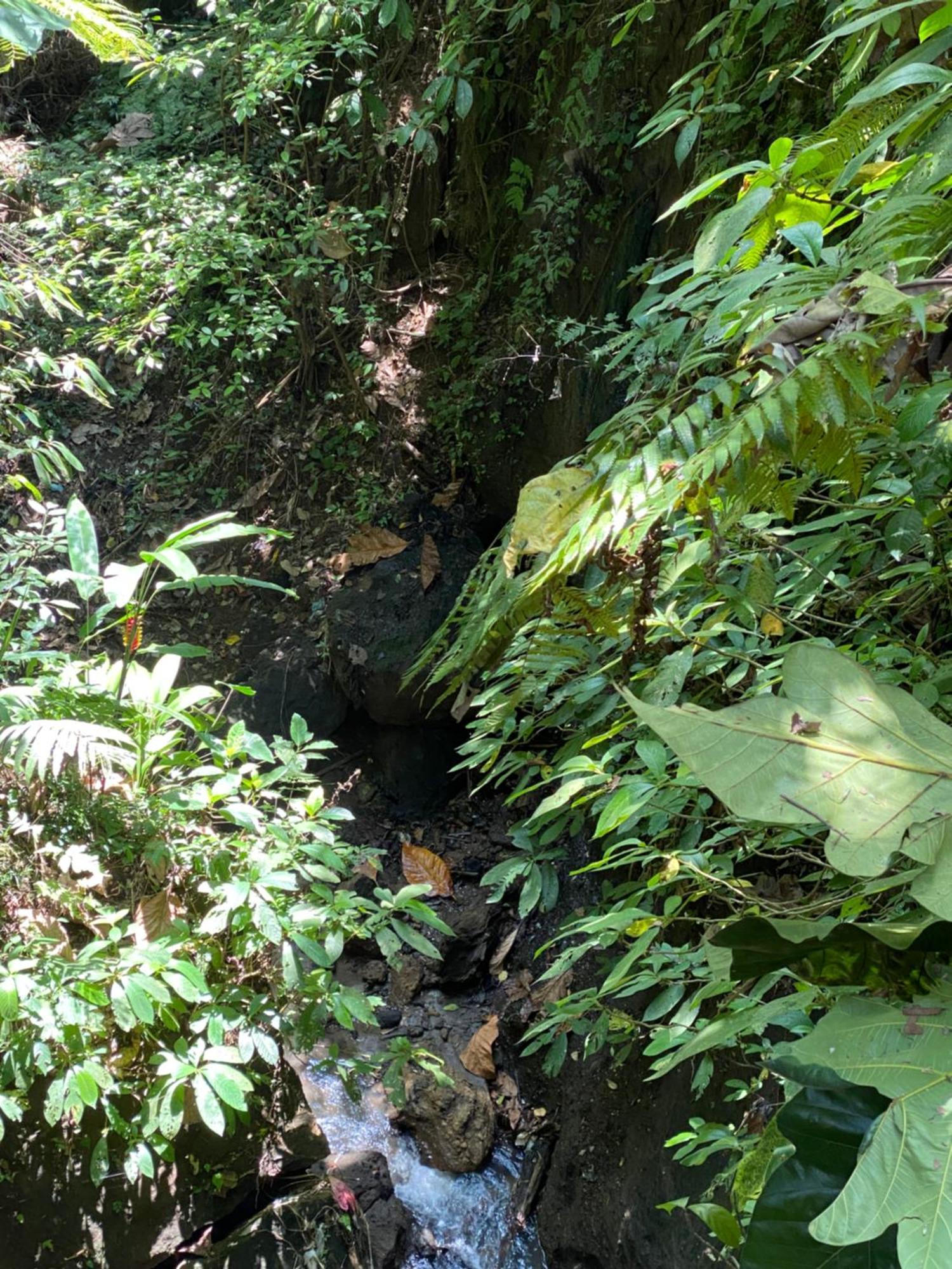 The Civyt Ubud