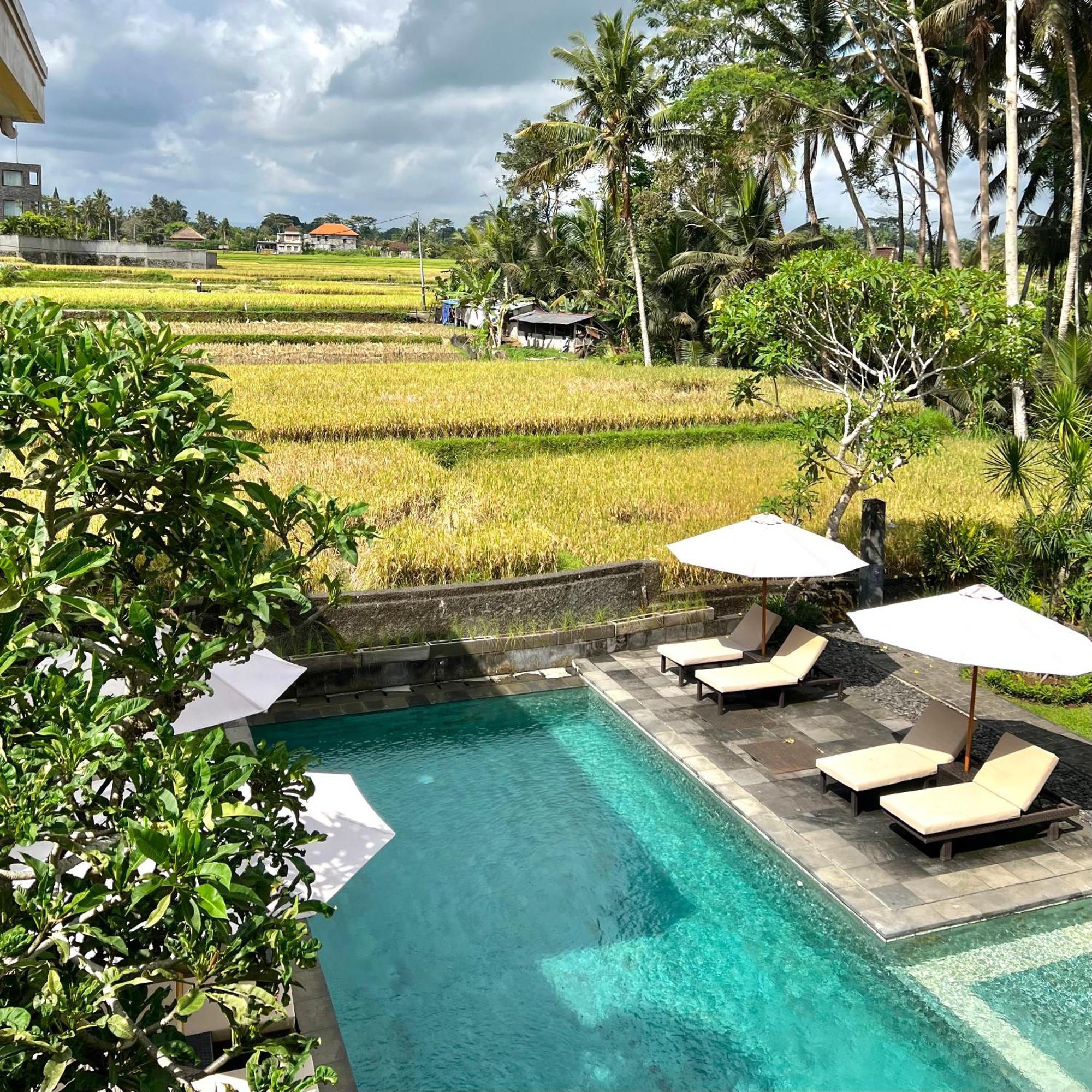 Villa Kubu Bali Baik Villa&resort - Chse Certified