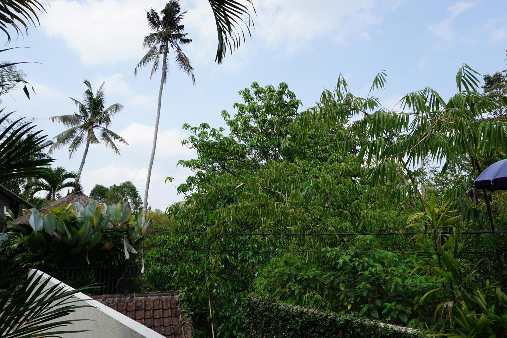 Villa Indah