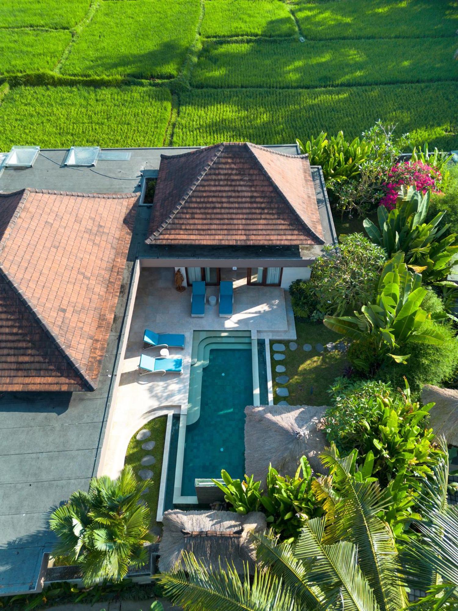Liang By Finder * Ubud (Bali)