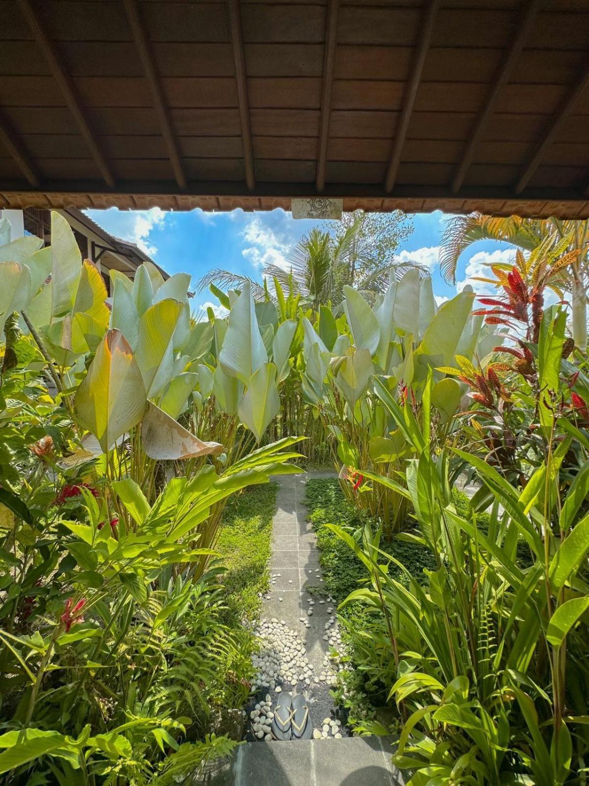 Paddy House * Ubud