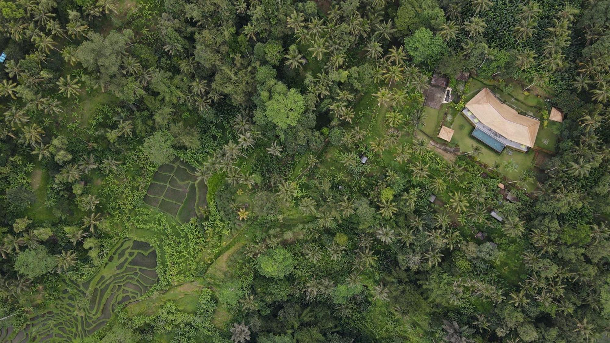 Themma Jungle - Sumptuous 3br Luxury With Majestic Jungle View North Of Ubud (Bali)