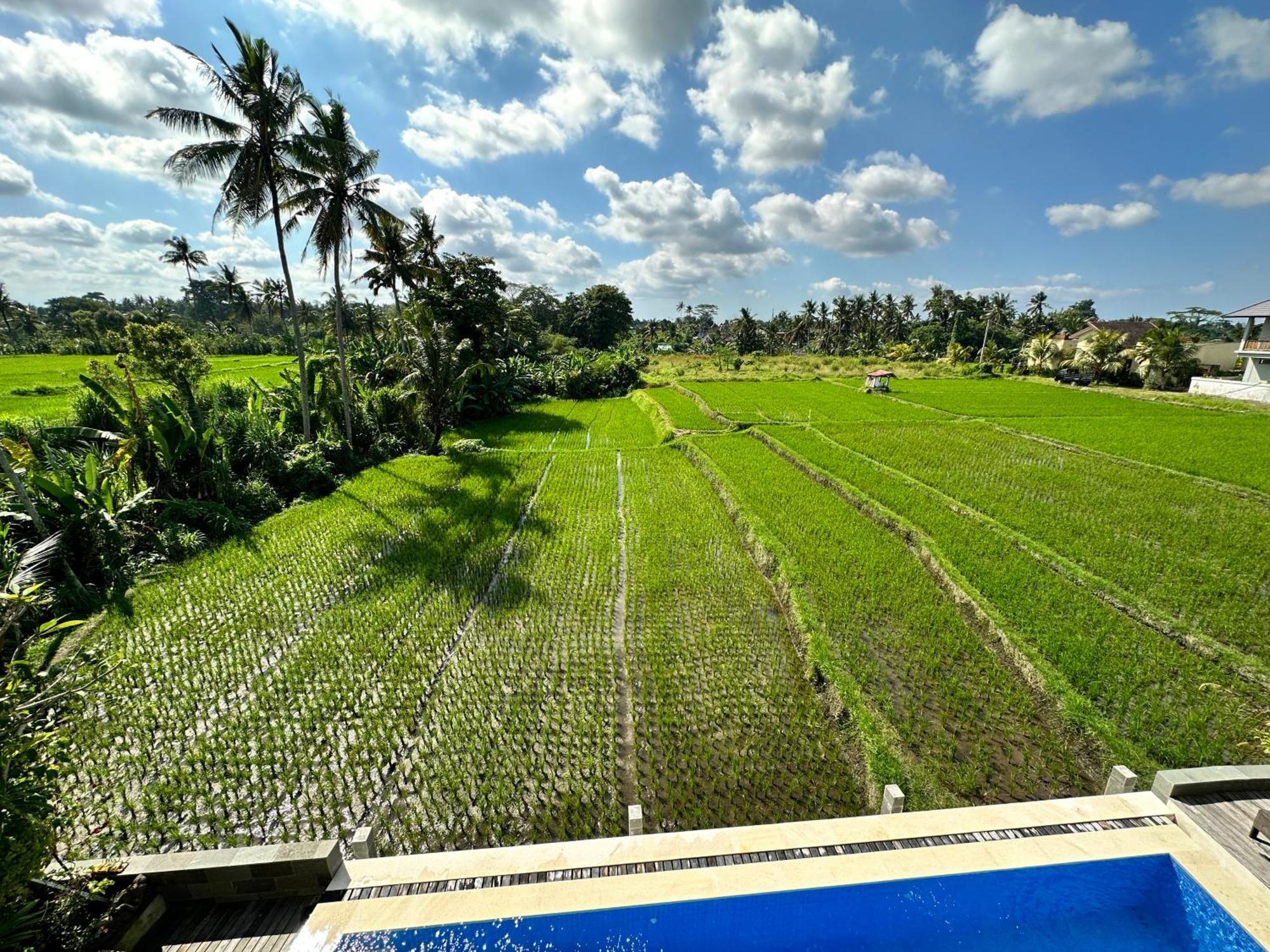 Villariz , Bali Casa de hóspedes Ubud