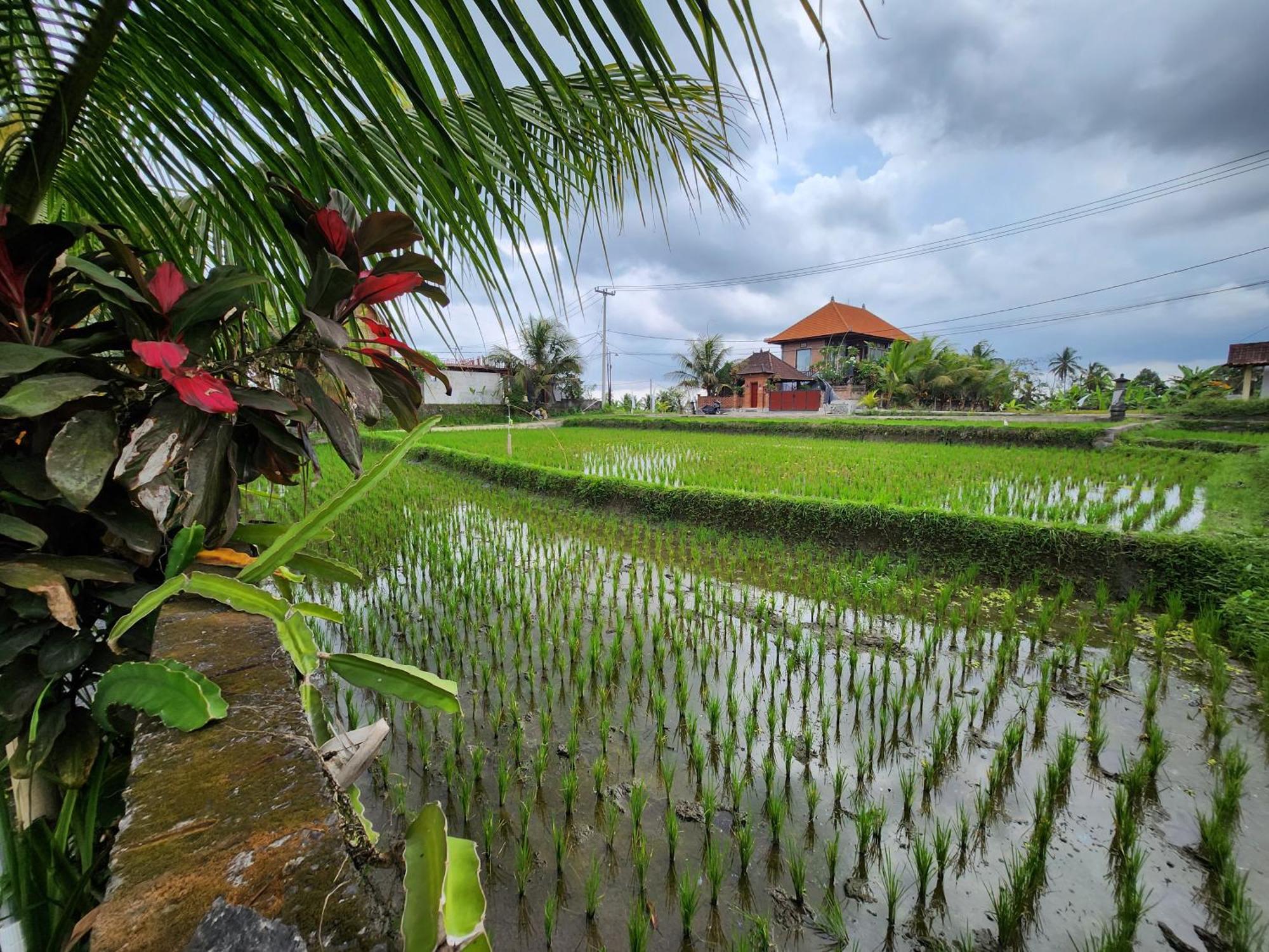 Annie * Ubud